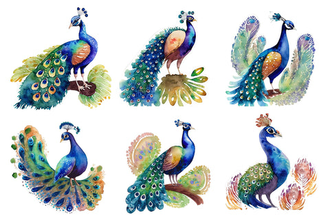 Watercolor Peacock Clipart Bundle Design Sublimation Rupkotha 