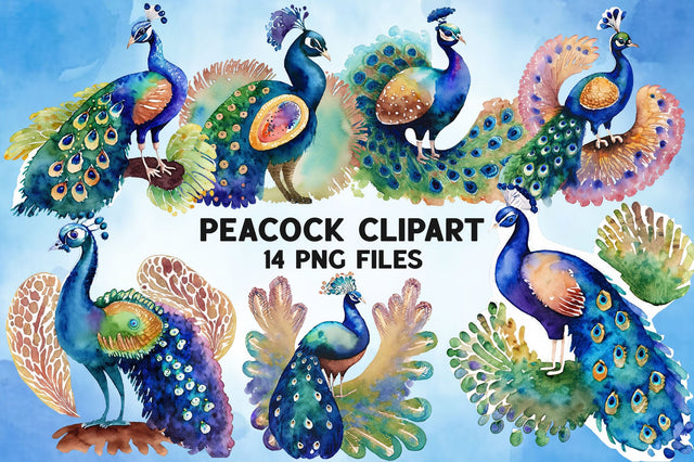 Watercolor Peacock Clipart Bundle Design Sublimation Rupkotha 