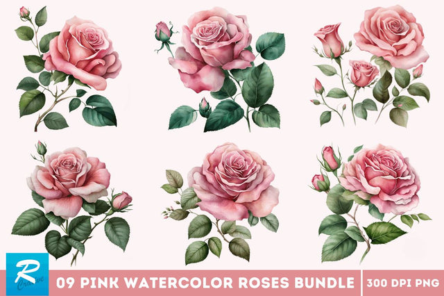 Watercolor Pink Roses Clipart Bundle Sublimation Regulrcrative 
