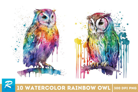 Watercolor Rainbow Owl Bundle Sublimation Regulrcrative 