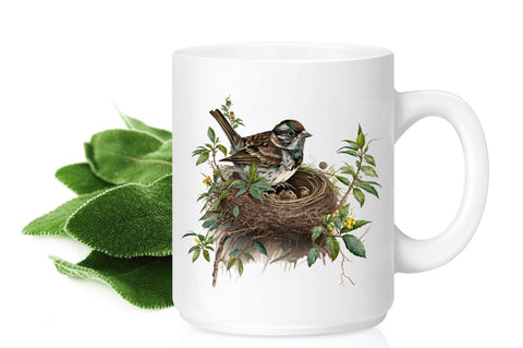 Watercolor Sparrow's Nest Clipart Bundle Sublimation Regulrcrative 