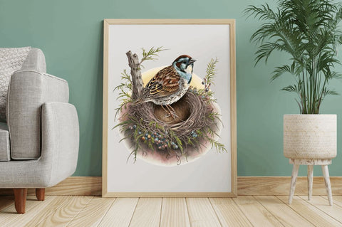 Watercolor Sparrow's Nest Clipart Bundle Sublimation Regulrcrative 