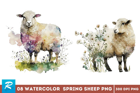 Watercolor Spring Sheep Bundle Sublimation Regulrcrative 