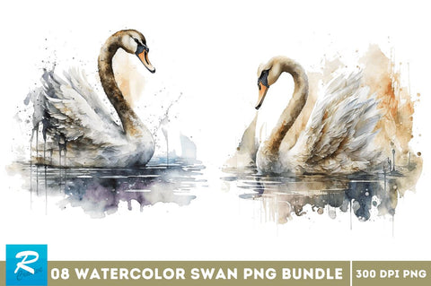 Watercolor Swan clipart Bundle Sublimation Regulrcrative 