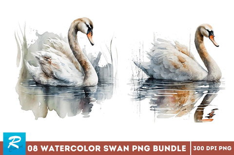 Watercolor Swan clipart Bundle Sublimation Regulrcrative 