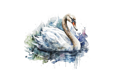 Watercolor Swan clipart Bundle Sublimation Regulrcrative 