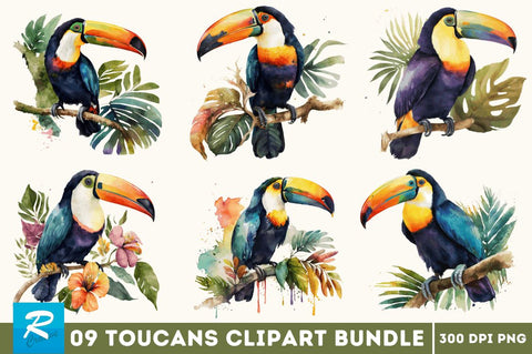 Watercolor Toucans Clipart Bundle Sublimation Regulrcrative 