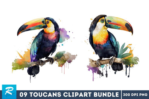 Watercolor Toucans Clipart Bundle Sublimation Regulrcrative 