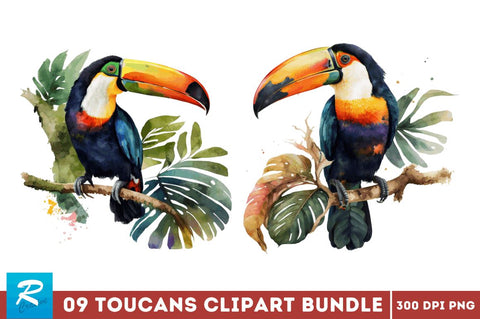 Watercolor Toucans Clipart Bundle Sublimation Regulrcrative 