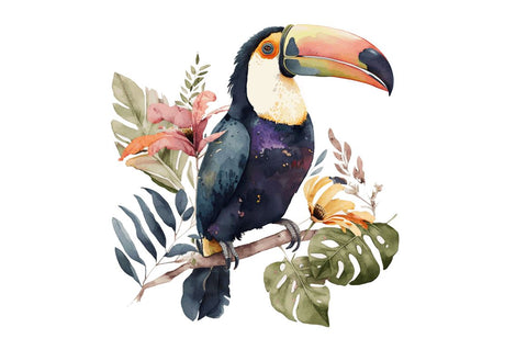 Watercolor Toucans Clipart Bundle Sublimation Regulrcrative 