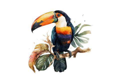 Watercolor Toucans Clipart Bundle Sublimation Regulrcrative 