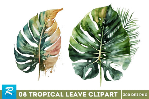 Watercolor Tropical Leave Clipart Bundle Sublimation Regulrcrative 