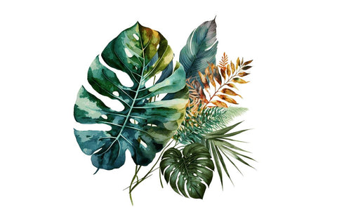 Watercolor Tropical Leave Clipart Bundle Sublimation Regulrcrative 