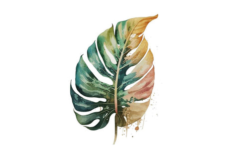 Watercolor Tropical Leave Clipart Bundle Sublimation Regulrcrative 