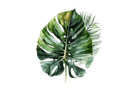 Watercolor Tropical Leave Clipart Bundle Sublimation Regulrcrative 