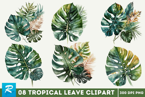 Watercolor Tropical Leave Clipart Bundle Sublimation Regulrcrative 