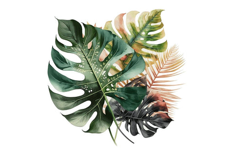 Watercolor Tropical Leave Clipart Bundle Sublimation Regulrcrative 