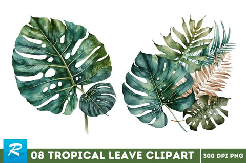 Watercolor Tropical Leave Clipart Bundle Sublimation Regulrcrative 
