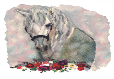 watercolor white horse png, sublimation graphics, clipart Sublimation sublimationhappy 