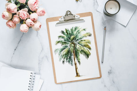 Watercolor Zipper image Palm Tree Clipart Bundle Sublimation Regulrcrative 