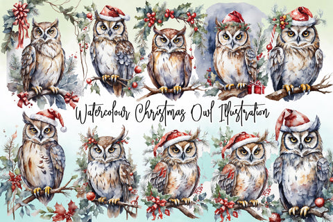 Watercolour Christmas Owl Illustration Sublimation Rupkotha 