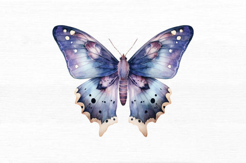 Watercolour Mystical Moth clipart Sublimation Regulrcrative 