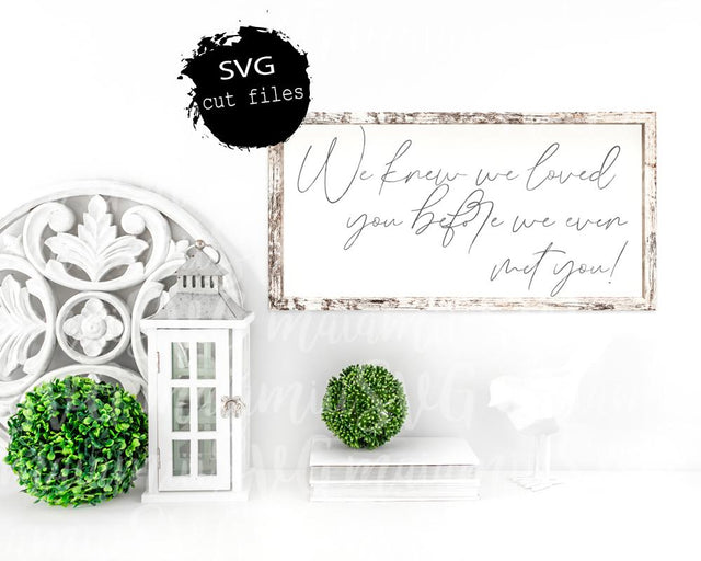 We Knew We Loved You Before We Even Met You SVG Cut File SVG MaiamiiiSVG 