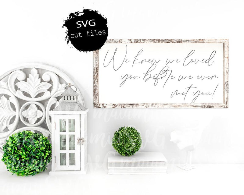We Knew We Loved You Before We Even Met You SVG Cut File SVG MaiamiiiSVG 