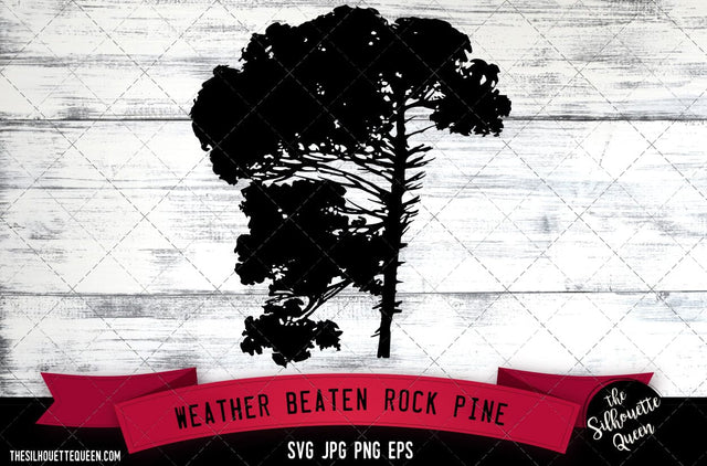 Weather beaten Rock Pine SVG -Vector Art Commercial & Personal Use- Cricut,Silhouette,Cameo,Vinyl Cut SVG Loveleen Kaur 