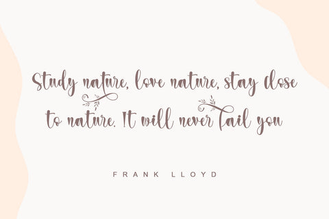 Wedding dress Font Letterara 