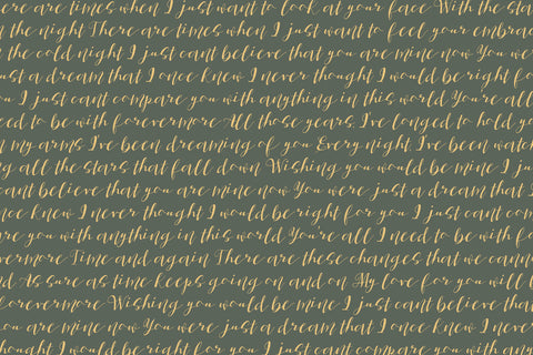 Wedding Script Font Font FontDuo 