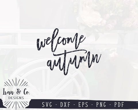 Welcome Autumn SVG Files | Fall Sign SVG | Fall SVG | Farmhouse SVG | Commercial Use | Cricut | Silhouette | Digital Cut Files (712470592) SVG Ivan & Co. Designs 