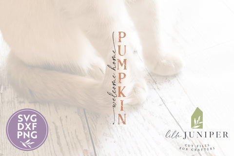 Welcome Home Pumpkin | Fall Porch Sign | Family SVG SVG LilleJuniper 