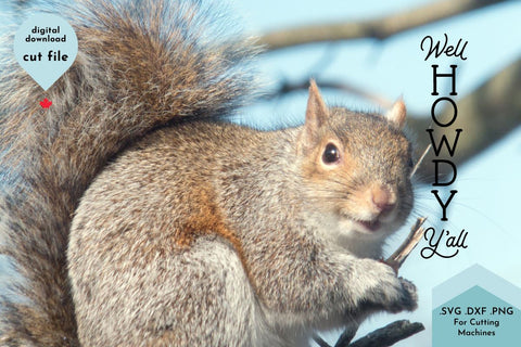 Well Howdy Y'all Vertical Front Porch SVG Cut File SVG Lettershapes 