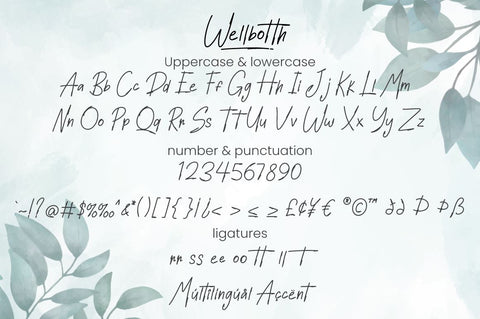 Wellbotth - Handwritten Font Font Attype studio 
