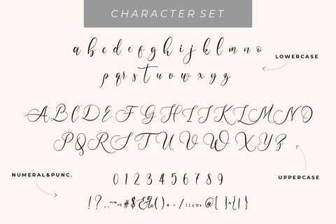 Wellstone Font Hans Co 