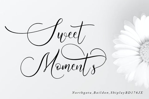 Wellstone Font Hans Co 