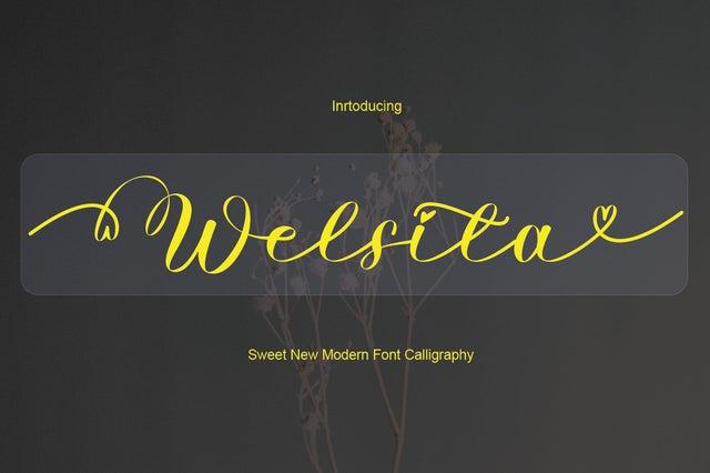 Welsita Font JoeCreative 