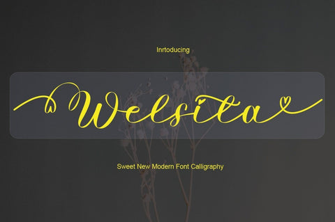 Welsita Font JoeCreative 