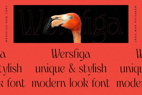 Wersfiga Typeface Font Storytype Studio 