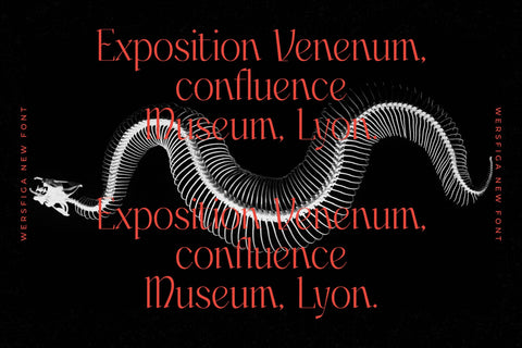 Wersfiga Typeface Font Storytype Studio 