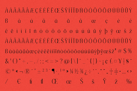 Wersfiga Typeface Font Storytype Studio 