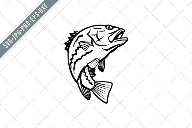West Australian Dhufish Glaucosoma Hebraicum Westralian Jewfish or West Australian Pearl Perch Jumping Mascot Black and White SVG Patrimonio Designs Limited 