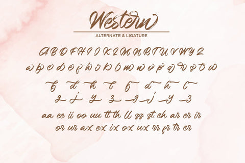 Western - Handbrush Script Font Font Alpaprana Studio 