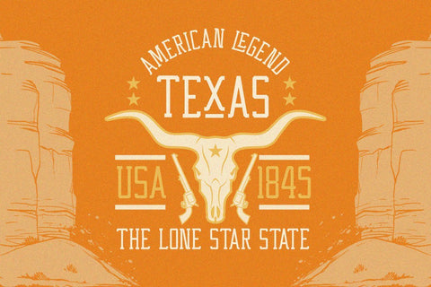 Western Wildler Slab Vintage Font Creatype Studio 