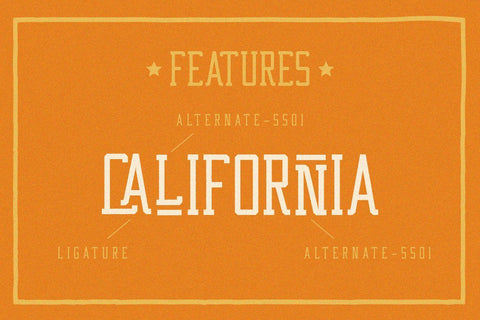 Western Wildler Slab Vintage Font Creatype Studio 
