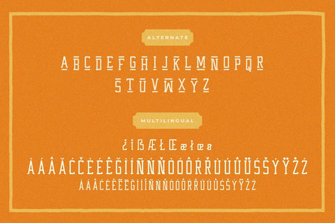 Western Wildler Slab Vintage Font Creatype Studio 