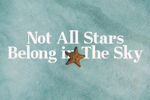 Westerniya Serif - Elegant Serif Font Font StringLabs 