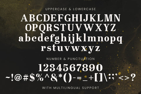 Westerniya Serif - Elegant Serif Font Font StringLabs 
