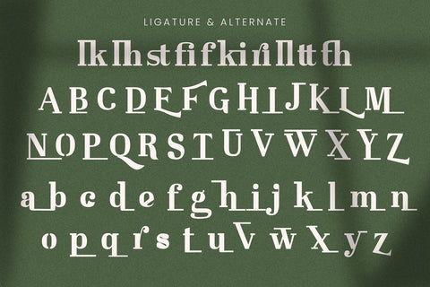 Westerniya Serif - Elegant Serif Font Font StringLabs 